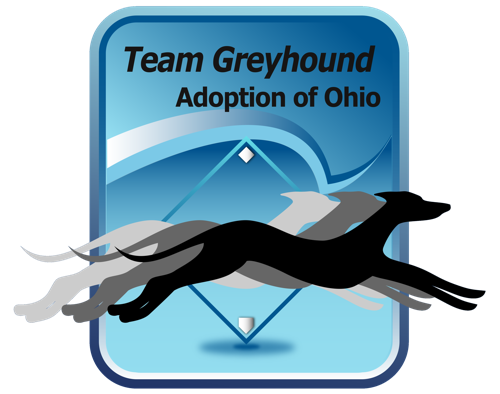 Team Greyhound