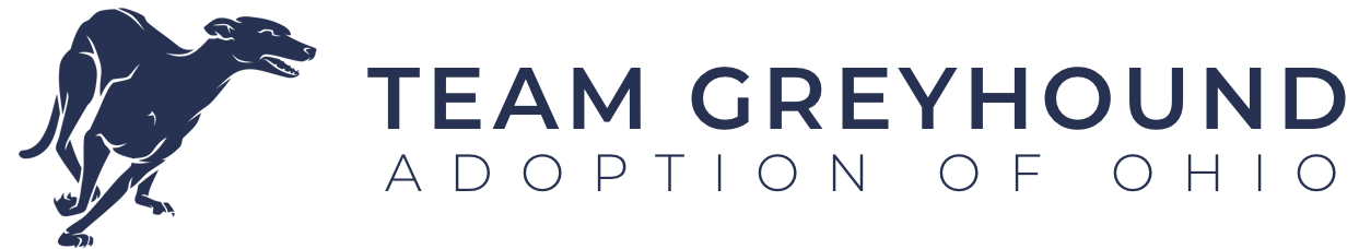 Team Greyhound Adoption